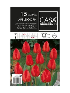 Casa Stockmann - Darwin-hybridentulppaani-kukkasipulit - PUNAINEN Casa Stockmann - Darwin-hybridentulppaani-kukkasipulit - PUNAINEN | Stockmann