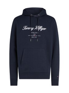 Tommy Hilfiger - Script Logo džemperis ar kapuci - DW5 DESERT SKY | Stockmann