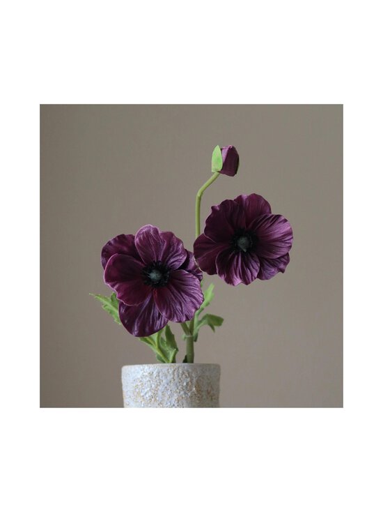 Botané - Three-Headed Poppy -tekokukka - PURPLE | Stockmann - photo 2