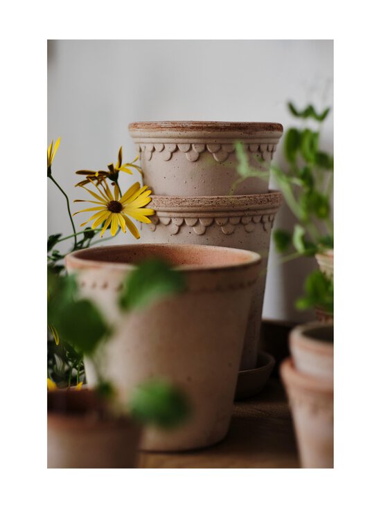 Bergs Potter - Københavner puķupods Ø 12 cm - ROSA - photo 5 Bergs Potter - Københavner puķupods Ø 12 cm - ROSA | Stockmann - photo 5