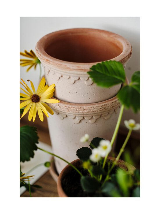 Bergs Potter - Københavner puķupods Ø 12 cm - ROSA - photo 6 Bergs Potter - Københavner puķupods Ø 12 cm - ROSA | Stockmann - photo 6