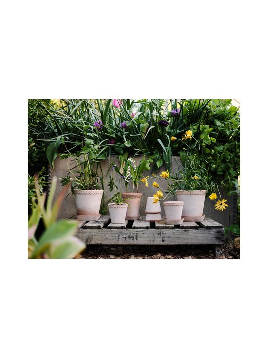 Bergs Potter - Københavner puķupods Ø 12 cm - ROSA - photo 7 Bergs Potter - Københavner puķupods Ø 12 cm - ROSA | Stockmann - photo 7