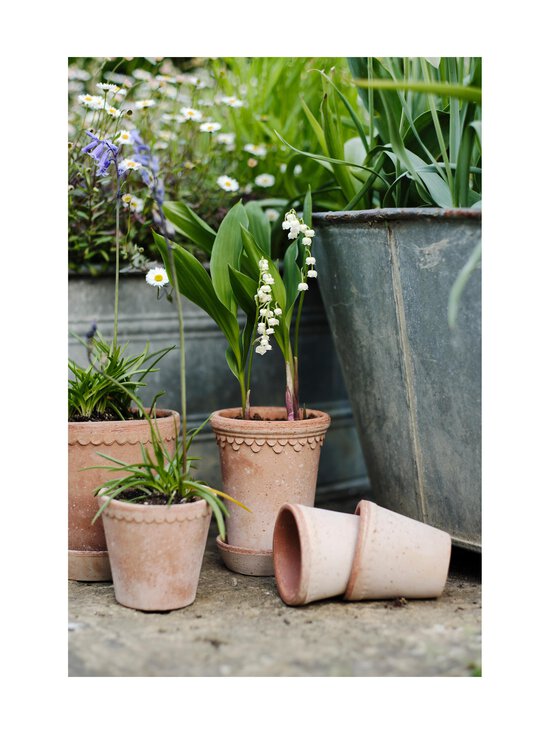 Bergs Potter - Københavner puķupods Ø 12 cm - ROSA - photo 8 Bergs Potter - Københavner puķupods Ø 12 cm - ROSA | Stockmann - photo 8