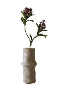 Botané - Purple Skimmia Berry -koristeoksa - PURPLE | Stockmann