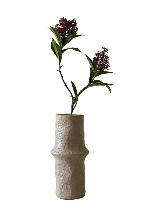 Botané - Purple Skimmia Berry -koristeoksa - PURPLE | Stockmann - photo 1