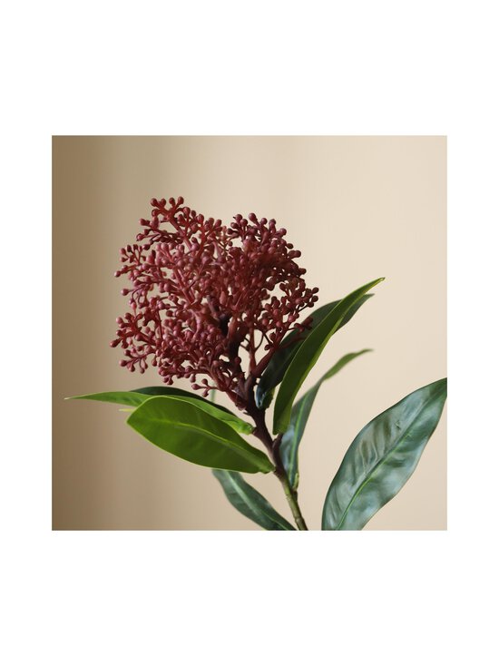 Botané - Purple Skimmia Berry -koristeoksa - PURPLE | Stockmann - photo 2