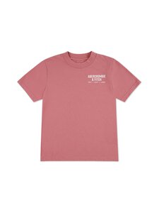Abercrombie & Fitch - Nyc Logo t-paita - ALD-DUSTY ROSE | Stockmann