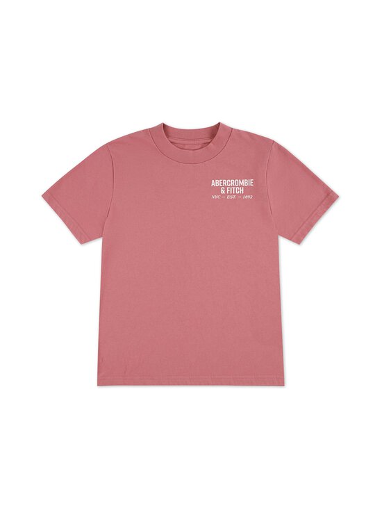 Abercrombie & Fitch - Nyc Logo t-paita - ALD-DUSTY ROSE | Stockmann - photo 1