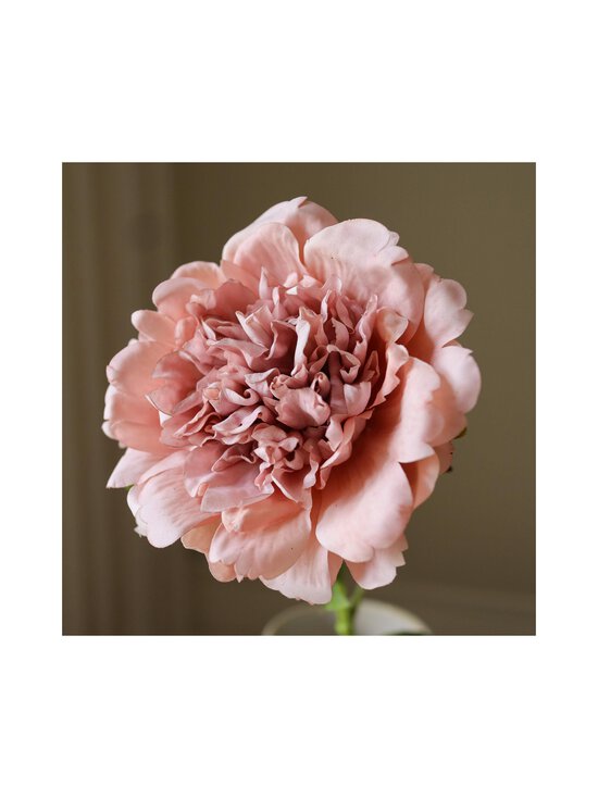 Botané - Peony-tekokukka - PINK | Stockmann - photo 2