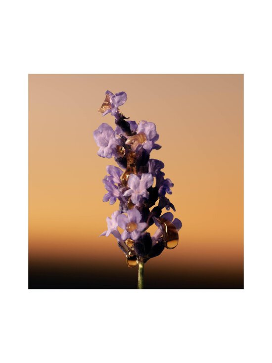 Burberry - Goddess Amber Vanilla Parfum -tuoksu - NOCOL | Stockmann - photo 6
