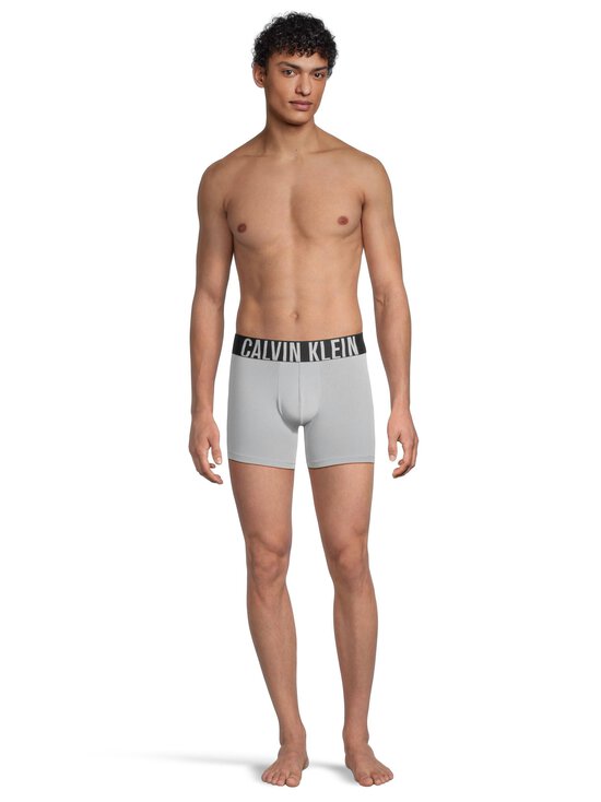 Calvin Klein Underwear - Boxer Brief apakšbikses 3 iepak. - VVK CARNIVAL BLUE BLACK MISTY GREY - photo 3 Calvin Klein Underwear - Boxer Brief apakšbikses 3 iepak. - VVK CARNIVAL BLUE BLACK MISTY GREY | Stockmann - photo 3