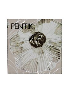 Pentik - Haave-paperilautasliinat 20 kpl - MULTICO | Stockmann