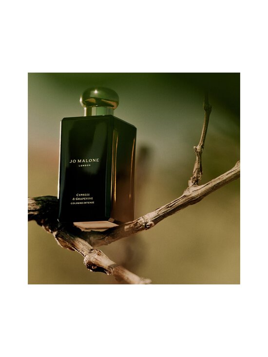 Jo Malone London - Cypress & Grapevine Cologne Intense -tuoksu 50 ml - NOCOL - photo 6 Jo Malone London - Cypress & Grapevine Cologne Intense -tuoksu 50 ml - NOCOL | Stockmann - photo 6