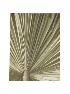 BoConcept - Palm Leaf -taulu - BEIGE,VIHREÄ | Stockmann