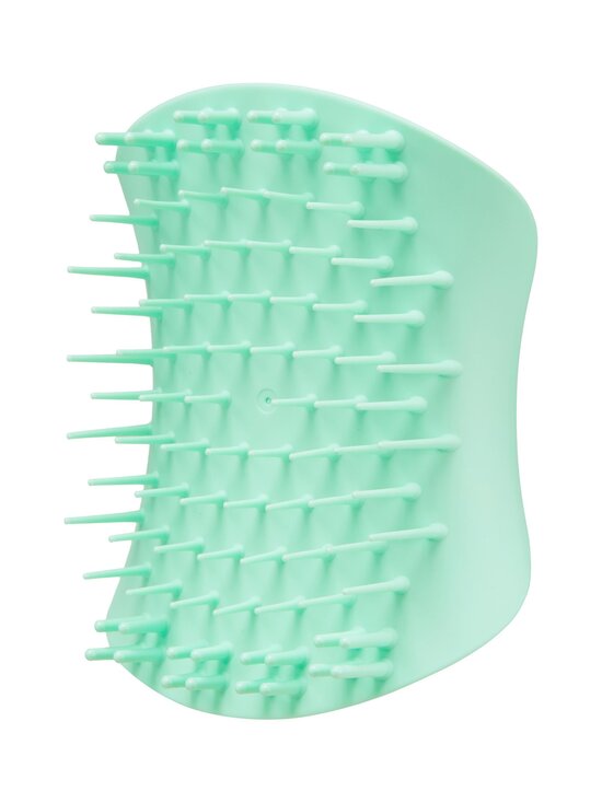 Scalp Brush -hiusharja