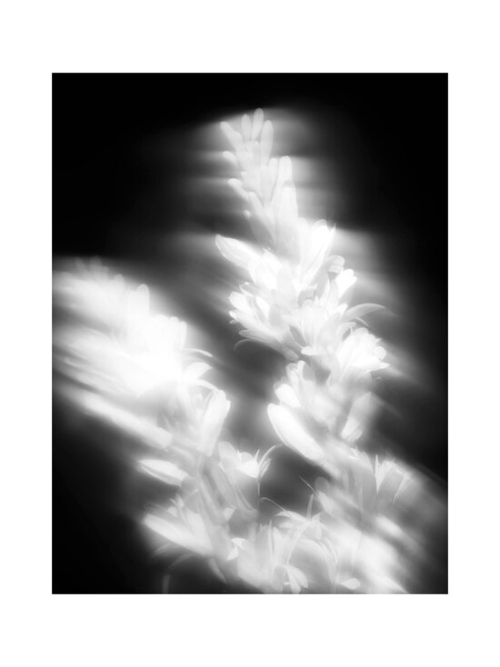 Maison Crivelli - Tubéreuse Astrale Extrait de Parfum -tuoksu - NOCOL | Stockmann - photo 3