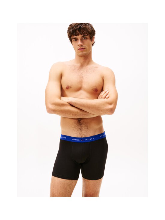 Tommy Hilfiger - Aluspüksid Boxer Brief, 3 paari - 0R5 RCH MUL/WDGE BLU/MON PRPLE | Stockmann - photo 2