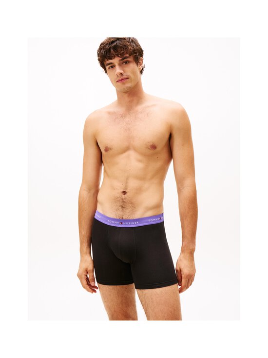 Tommy Hilfiger - Aluspüksid Boxer Brief, 3 paari - 0R5 RCH MUL/WDGE BLU/MON PRPLE | Stockmann - photo 6