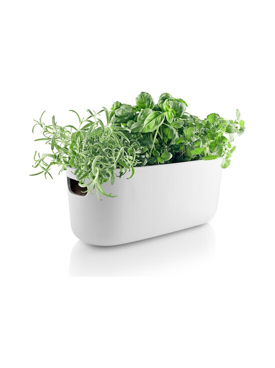 Eva Solo - Selfwatering Herb Organiser -altakasteluyrttilaatikko - WHITE | Stockmann - photo 4