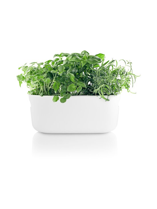 Eva Solo - Selfwatering Herb Organiser -altakasteluyrttilaatikko - WHITE | Stockmann - photo 5