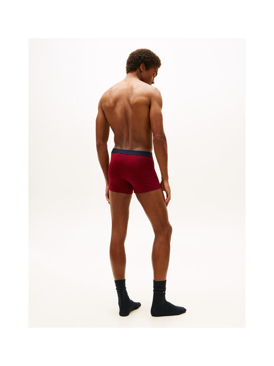 Tommy Hilfiger - Aluspükste ja sokkide komplekt - 0SZ RED TONAL FLAG/DES SKY | Stockmann - photo 3