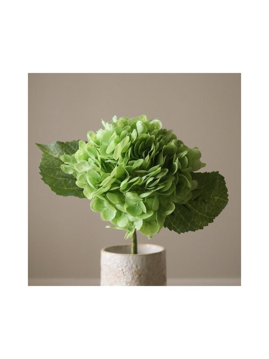 Botané - Green Hydrangea -koristekukka - GREEN | Stockmann - photo 3
