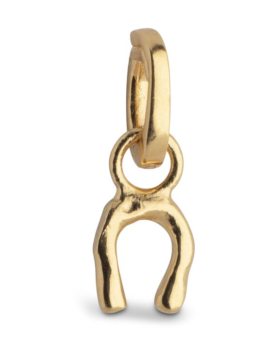 Lucky Horseshoe -riipus