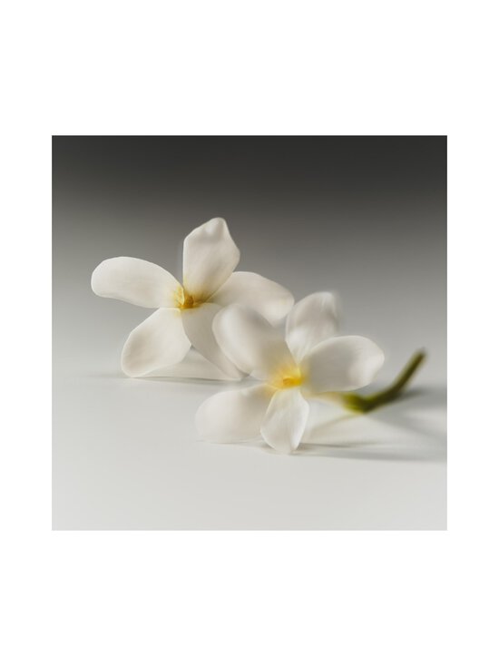 Kylie Jenner - Kylie Cosmic Intense - NOCOL | Stockmann - photo 8