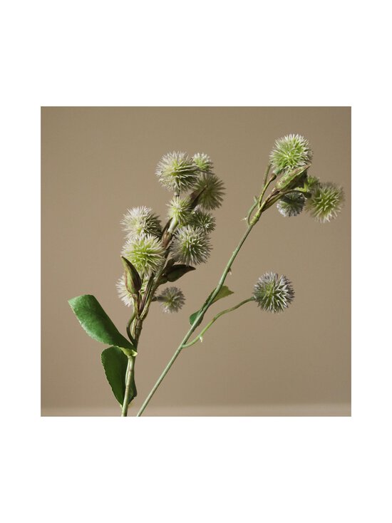 Botané - Echinops Ritro -tekokukka - GREEN | Stockmann - photo 2