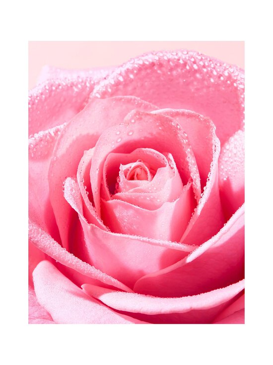 Nuxe - Mitsellaarvesi Very Rose Soothing Cleansing Micellar Water - NOCOL | Stockmann - photo 4