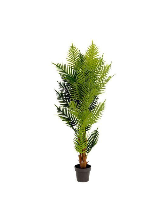 Palmera-tekokasvi