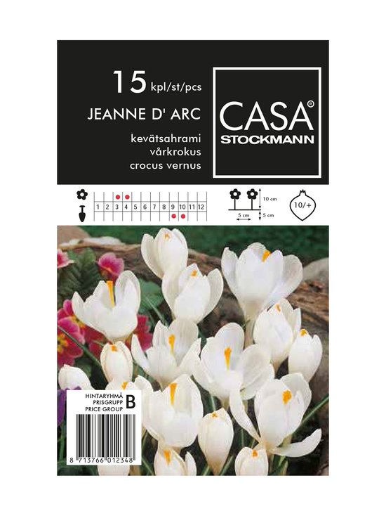 Kevätsahrami-kukkasipulit
