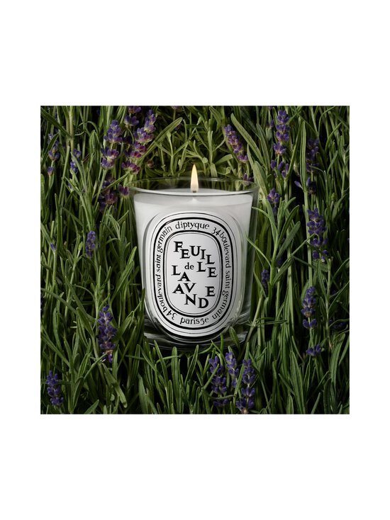 Diptyque - Feuille de Lavande -tuoksukynttilä 190 g - NOCOL | Stockmann - photo 4