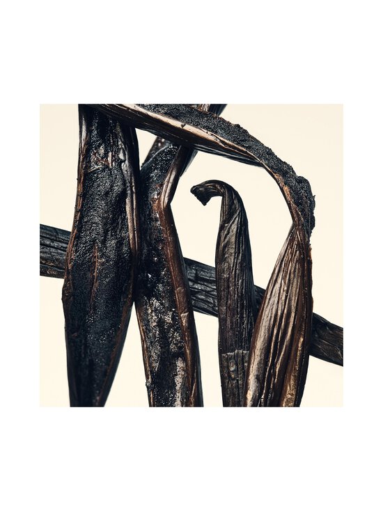 Balmain Beauty - Les Eternals Vanilla Eau de parfum -tuoksu - NOCOL | Stockmann - photo 7