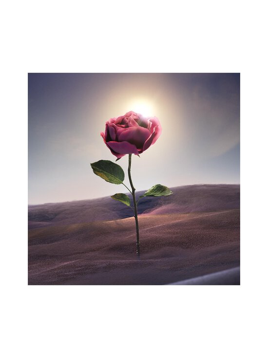 Bvlgari - Le Gemme Sahare EdP - NOCOL | Stockmann - photo 7