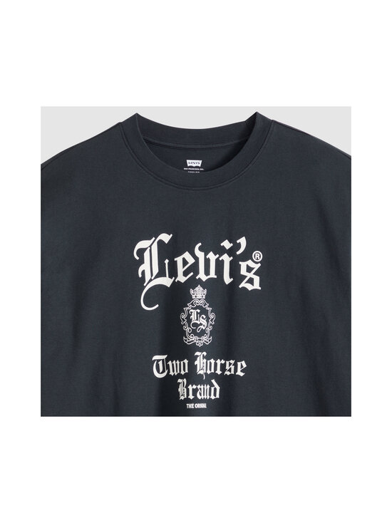 Levi's - Coastal Creative Boxy t-paita - 801 COASTAL CREATIVE | Stockmann - photo 5