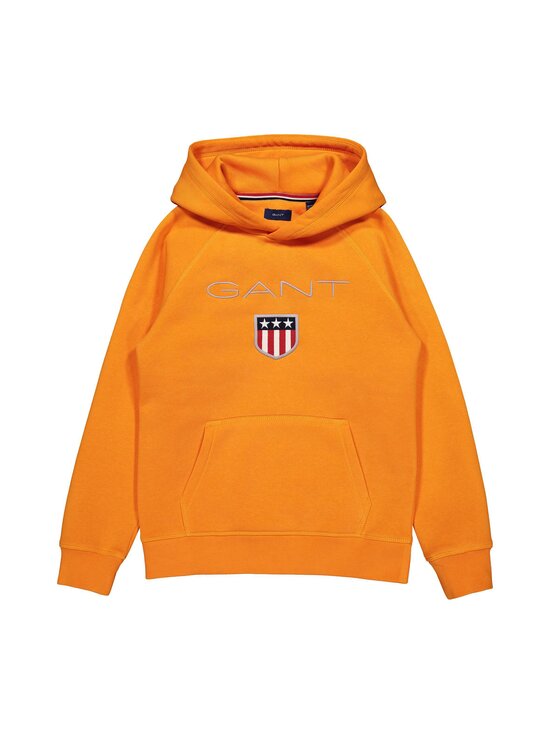 Shield Hoodie -huppari