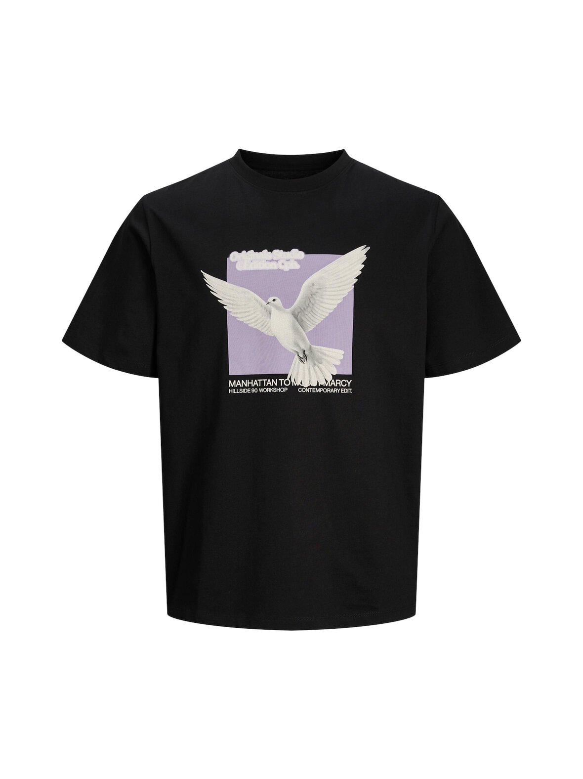 JorAstoria Fade Tee -paita
