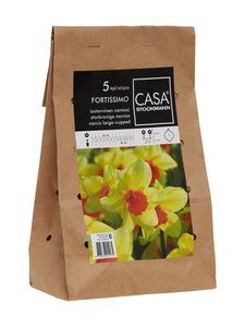 Casa Stockmann - Fortissimo-narsissin sipulit 5 kpl - KELTAINEN Casa Stockmann - Fortissimo-narsissin sipulit 5 kpl - KELTAINEN | Stockmann