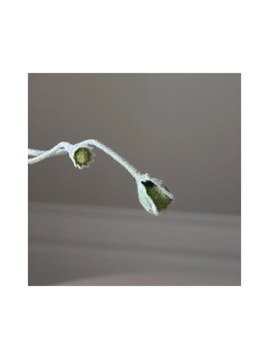 Botané - Poppy Bud -tekokukka - GREEN | Stockmann - photo 2