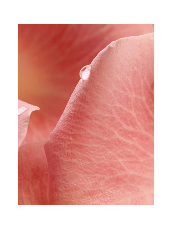 Maison Crivelli - Musc Nurãsana Extrait de Parfum -tuoksu - NOCOL | Stockmann - photo 7