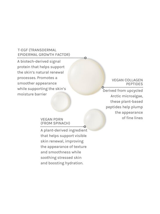 Evolve - EGF + Collagen Renewal Booster -tehotiiviste - NOCOL | Stockmann - photo 4