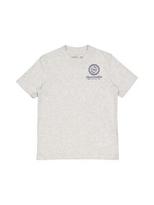 Abercrombie & Fitch - Foothills t-paita - GH3-ANF LIGHT GREY HEATHER | Stockmann