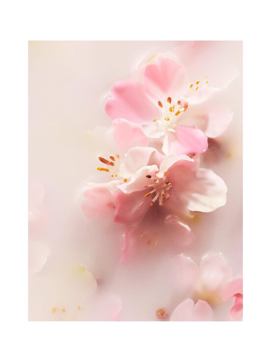 Rituals - The Ritual of Sakura Car Air Freshener -auton ilmanraikastin, 2x3g - NOCOL | Stockmann - photo 2