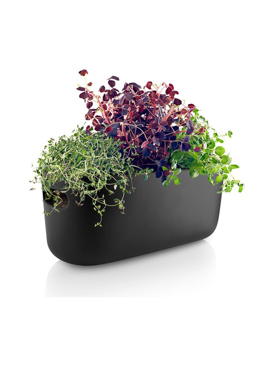 Eva Solo - Selfwatering Herb Organiser -altakasteluyrttilaatikko - BLACK | Stockmann - photo 4