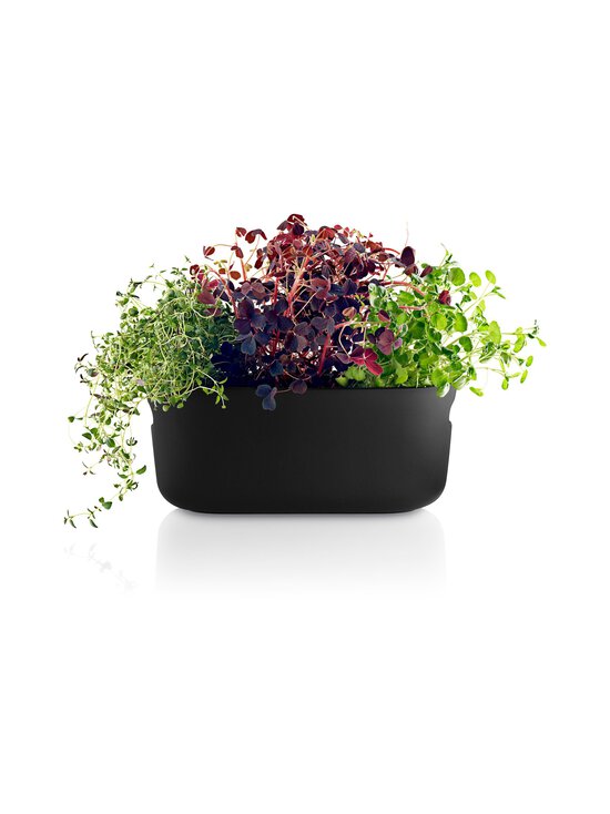 Eva Solo - Selfwatering Herb Organiser -altakasteluyrttilaatikko - BLACK | Stockmann - photo 5