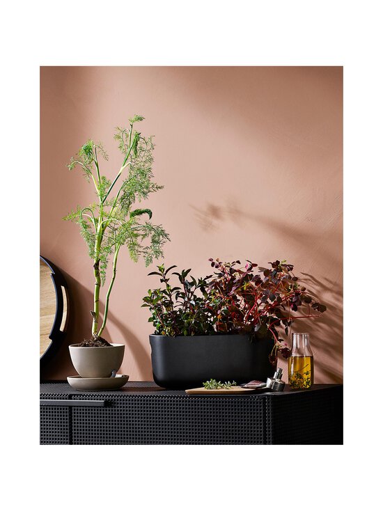 Eva Solo - Selfwatering Herb Organiser -altakasteluyrttilaatikko - BLACK | Stockmann - photo 7