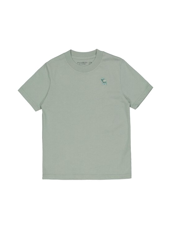 Abercrombie & Fitch - Essentials T-krekls - F9R-CHINOIS GREEN - photo 1 Abercrombie & Fitch - Essentials T-krekls - F9R-CHINOIS GREEN | Stockmann - photo 1