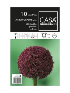 Casa Stockmann - Jättilaukka-kukkasipulit - VIOLETTI Casa Stockmann - Jättilaukka-kukkasipulit - VIOLETTI | Stockmann