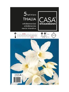 Casa Stockmann - Orkideanarsissi-kukkasipulit - VALKOINEN Casa Stockmann - Orkideanarsissi-kukkasipulit - VALKOINEN | Stockmann
